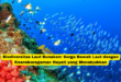 Biodiversitas Laut Bunaken Surga Bawah Laut dengan Keanekaragaman Hayati yang Menakjubkan