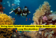 Diving Spot Terbaik di Indonesia Surga Bawah Laut yang Menakjubkan