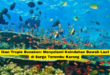 Ikan Tropis Bunaken Menyelami Keindahan Bawah Laut di Surga Terumbu Karang