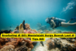 Snorkeling di Gili Menjelajahi Surga Bawah Laut di Tiga Gili