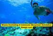 Wisata Snorkeling di Indonesia Menyelami Keindahan Bawah Laut