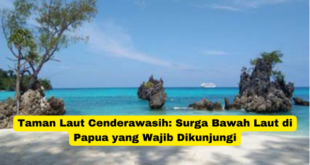 Taman Laut Cenderawasih Surga Bawah Laut di Papua yang Wajib Dikunjungi