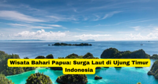 Wisata Bahari Papua Surga Laut di Ujung Timur Indonesia