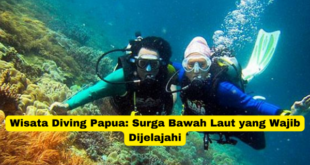 Wisata Diving Papua Surga Bawah Laut yang Wajib Dijelajahi